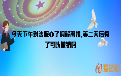 今天下午到法院办了调解离婚,等二天后悔了可以撤销吗_https://www.nsxn.com.cn_法律知识_第1张