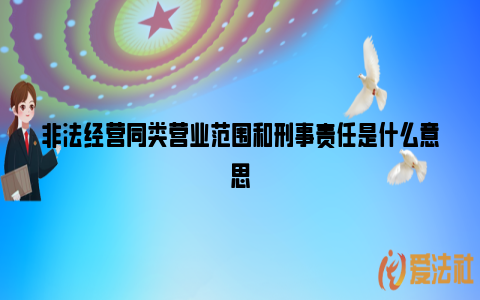 非法经营同类营业范围和刑事责任是什么意思_https://www.nsxn.com.cn_法言法语_第1张